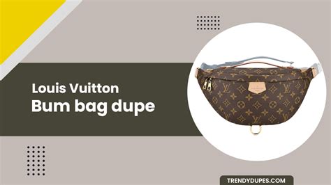 louis vuitton backpack purse dupe|louis vuitton bum bag dupe.